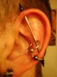 Body Mods
